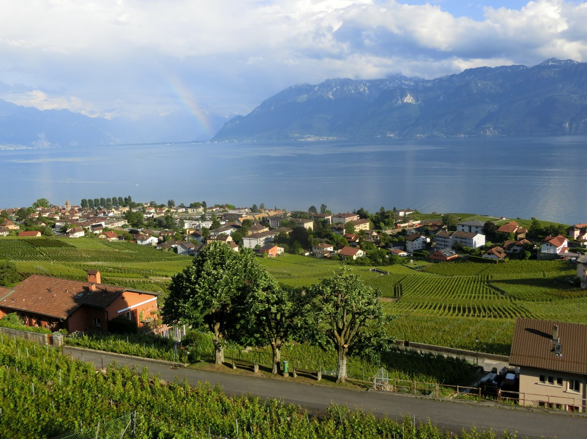A day in the Lavaux&nbsp;region